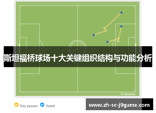 斯坦福桥球场十大关键组织结构与功能分析