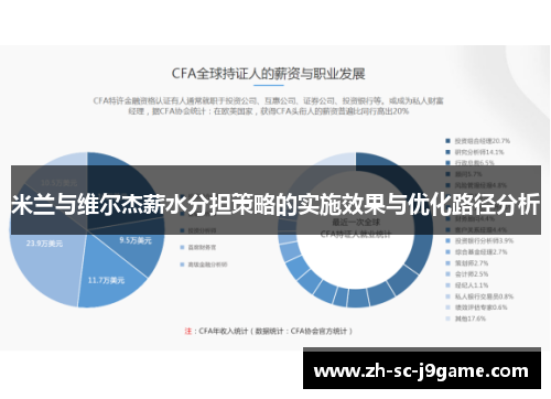 米兰与维尔杰薪水分担策略的实施效果与优化路径分析