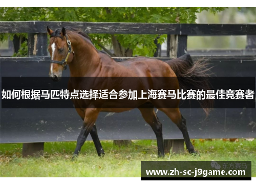 如何根据马匹特点选择适合参加上海赛马比赛的最佳竞赛者 如何根据马匹特点选择适合参加上海赛马比赛的最佳竞赛者