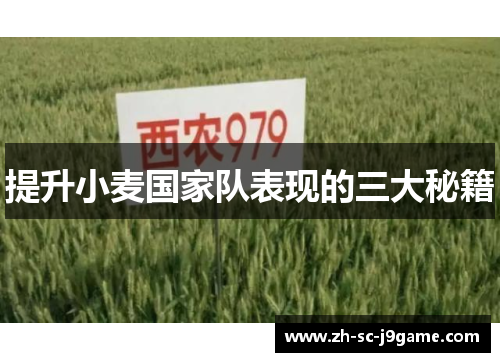 提升小麦国家队表现的三大秘籍