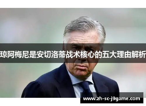 琼阿梅尼是安切洛蒂战术核心的五大理由解析